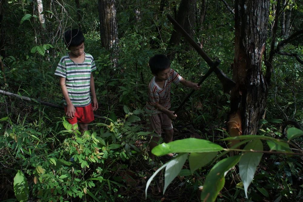 Cuộc sống giữa rừng sâu núi thẳm ảnh 6